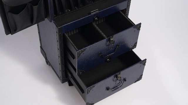 Amazon.com : Blisiour Rolling Lockable Makeup Train Case Stylist
